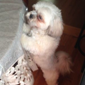 Meet your Posher, Marichu